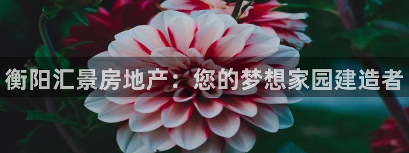 万向娱乐平台代理怎么做