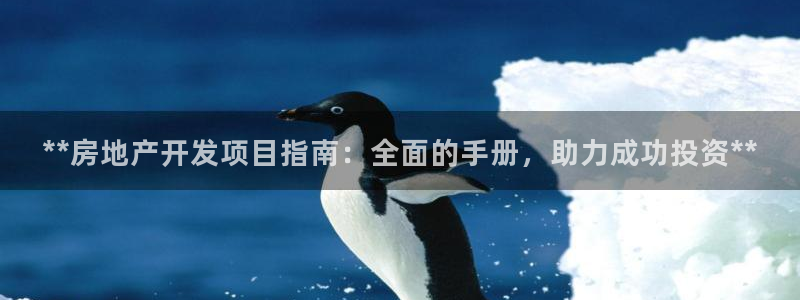 万向娱乐是野鸡台吗