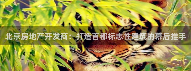 万向娱乐老板