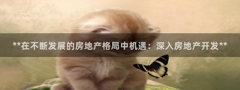 万向娱乐登陆官网