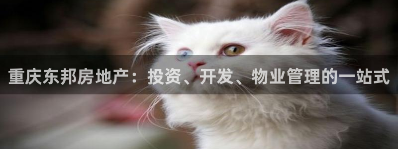 万向娱乐老板