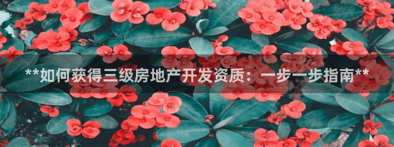 万向娱乐是野鸡台吗