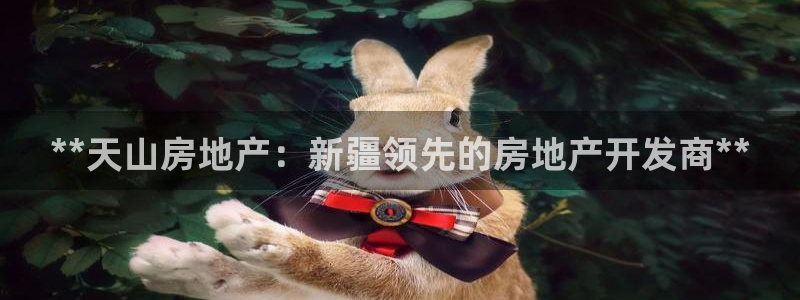 万向娱乐的联系方式是什么