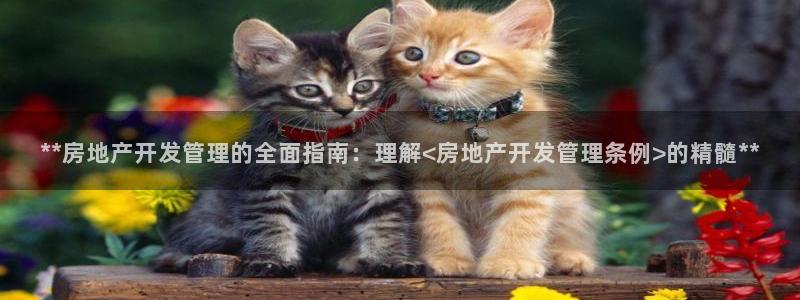 万向娱乐官网下载安卓