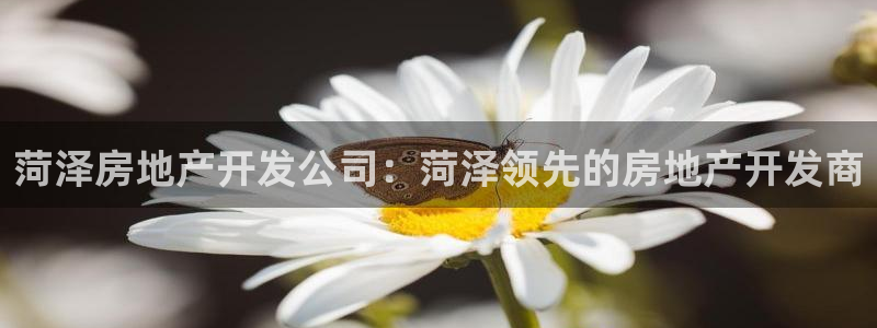 万向娱乐平台代理怎么做的