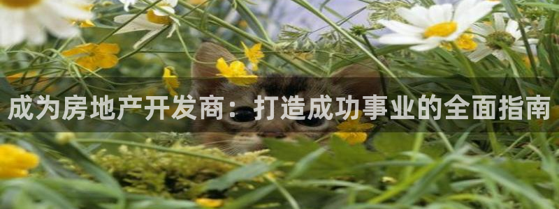 万向娱乐官网下载安装手机版
