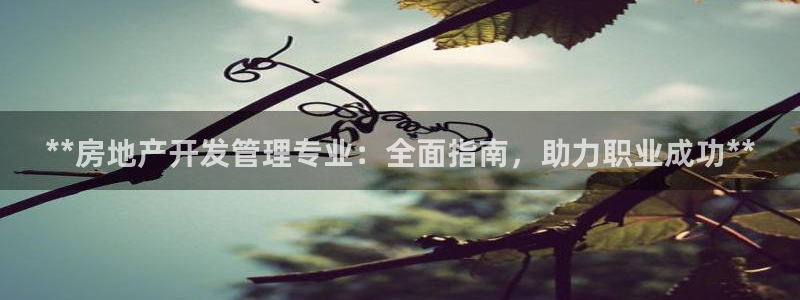 万向娱乐的494o3 主管