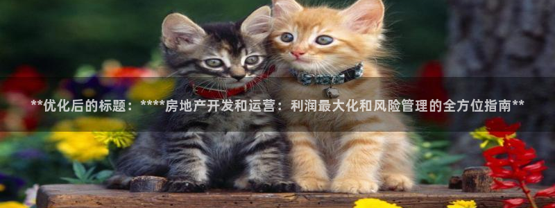 万向娱乐怎么样