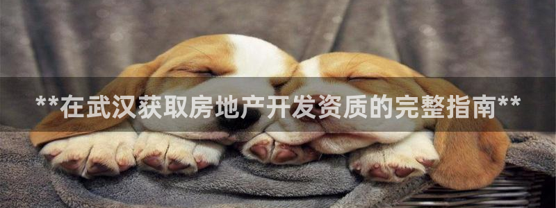 万向娱乐首页