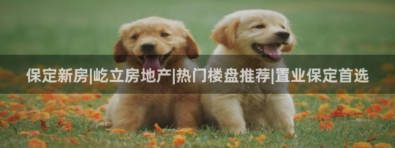 万向娱乐平台代理怎么样