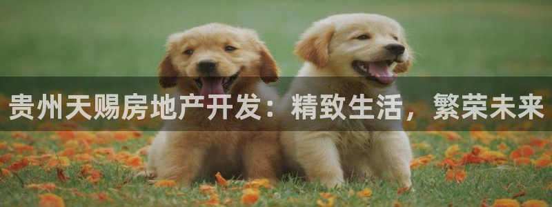万向娱乐app下载苹果版