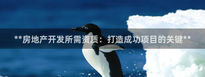 万向娱乐官网网址是什么