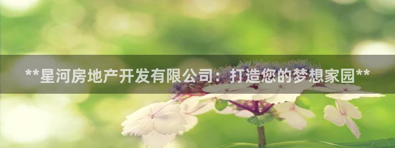 万向娱乐平台代理怎么样