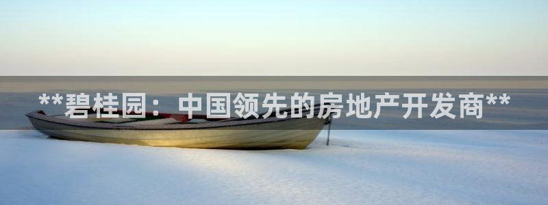 万向娱乐公司 585.34I 娱乐