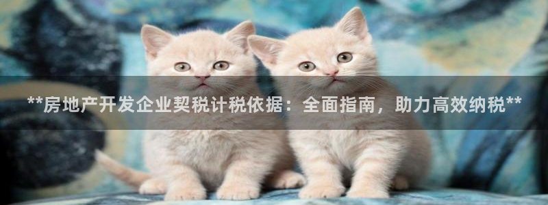 万向娱乐app下载安装