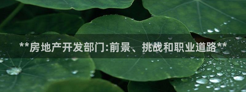 万向娱乐平台代理怎么样可靠吗