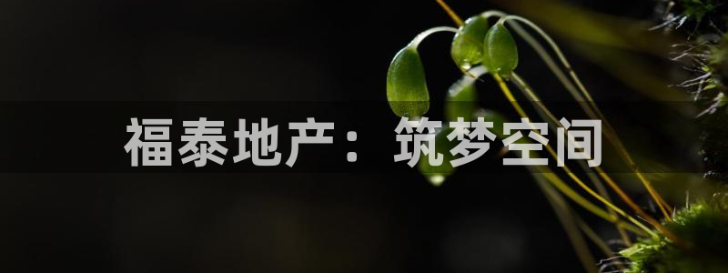 万向娱乐app下载安装