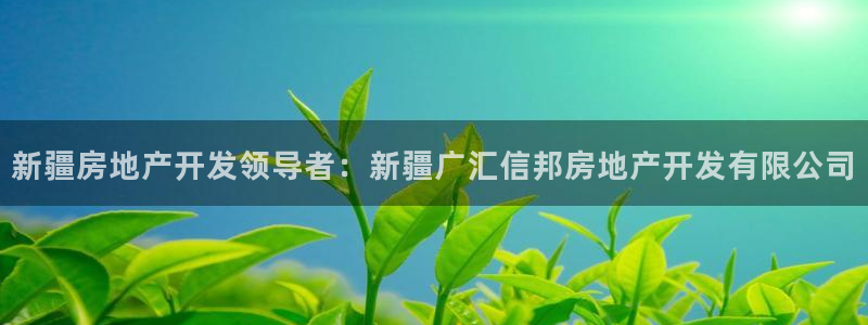 万向娱乐下载安装