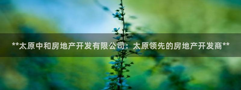 万向娱乐王者荣耀