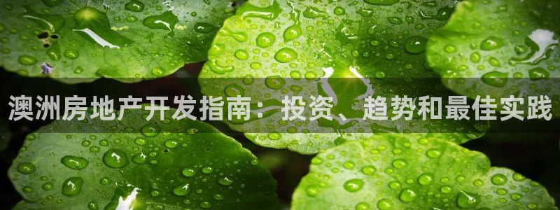 万向娱乐王者荣耀