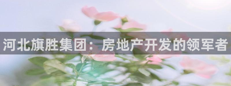 万向娱乐平台招商骗局