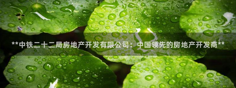 万向娱乐登陆