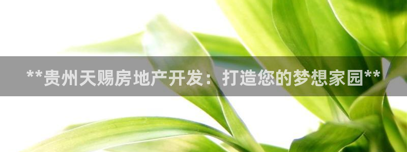 万向娱乐平台代理怎么样