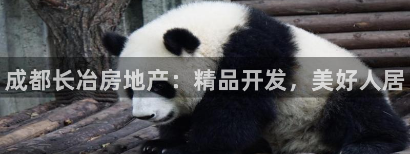 万向娱乐官网网址是什么