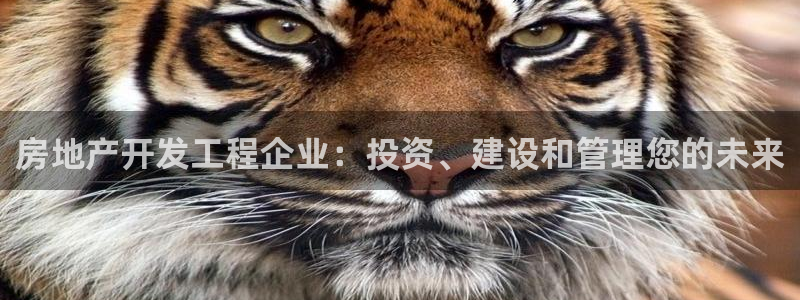 万向娱乐的494o3 主管