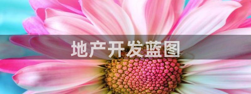 万向娱乐平台代理怎么样赚钱