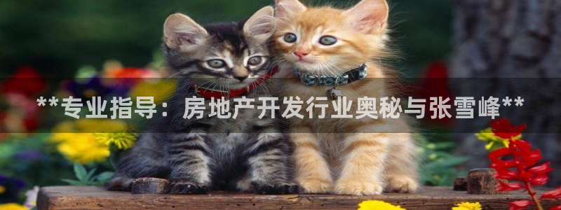 万向娱乐技术分享