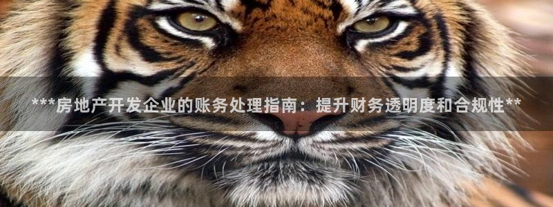 万向娱乐平台好不