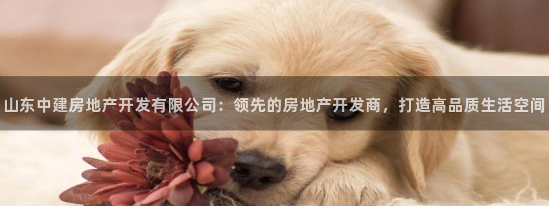 万向娱乐平台代理多少钱