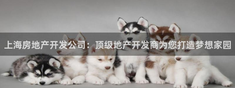 万向娱乐官网下载安装最新版