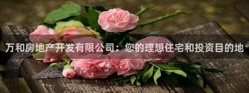 万向娱乐技术分享