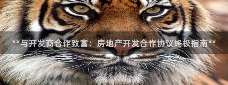 万向娱乐是哪个旗下