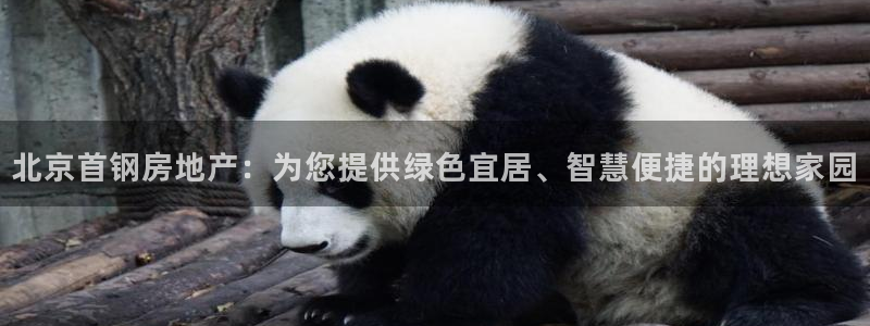 万向娱乐官网网址是什么