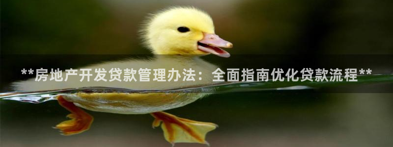 万能娱乐平台直招代理