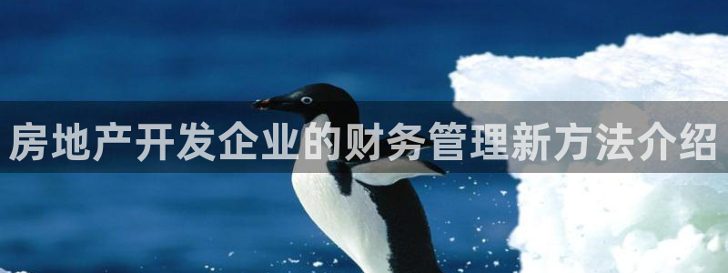 万向娱乐怎么样