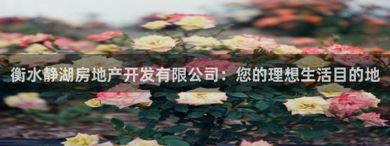 万向娱乐老板
