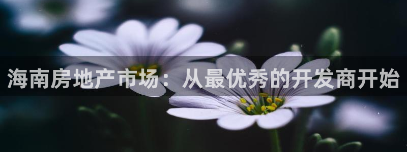 万向娱乐老板