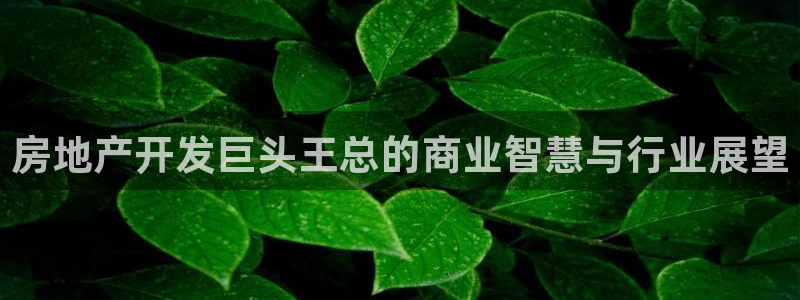 万向娱乐平台代理怎么做的
