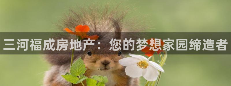 万象国际娱乐网址