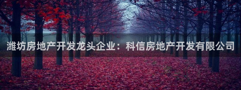 万向娱乐官网下载安装手机版