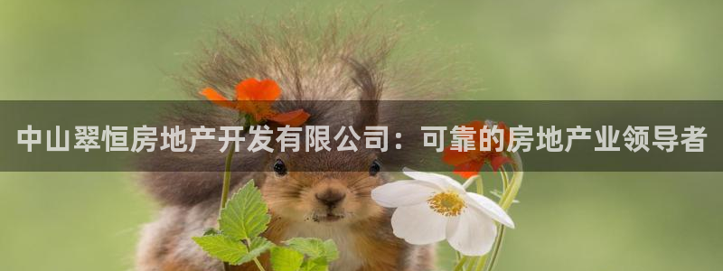 万向娱乐官网网址大全