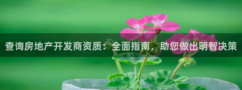 万向娱乐平台代理怎么做