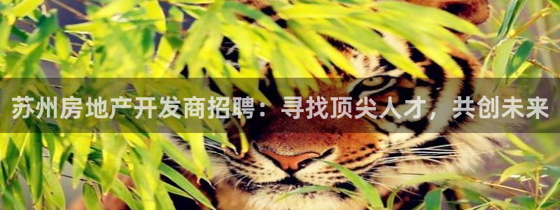 万向娱乐平台代理怎么做赚钱