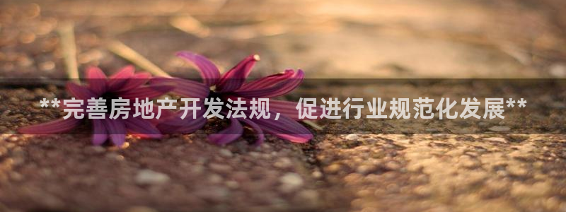 万向娱乐官网网址大全