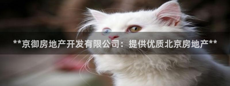 万向娱乐app下载官网
