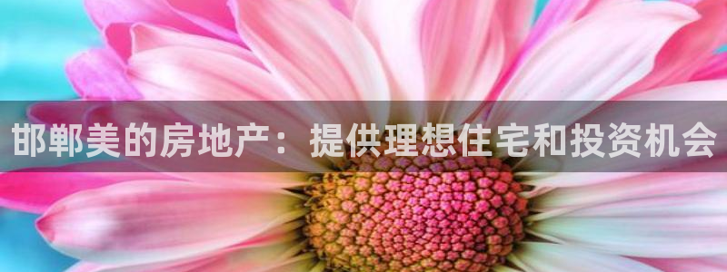 万向娱乐平台代理怎么样可靠吗